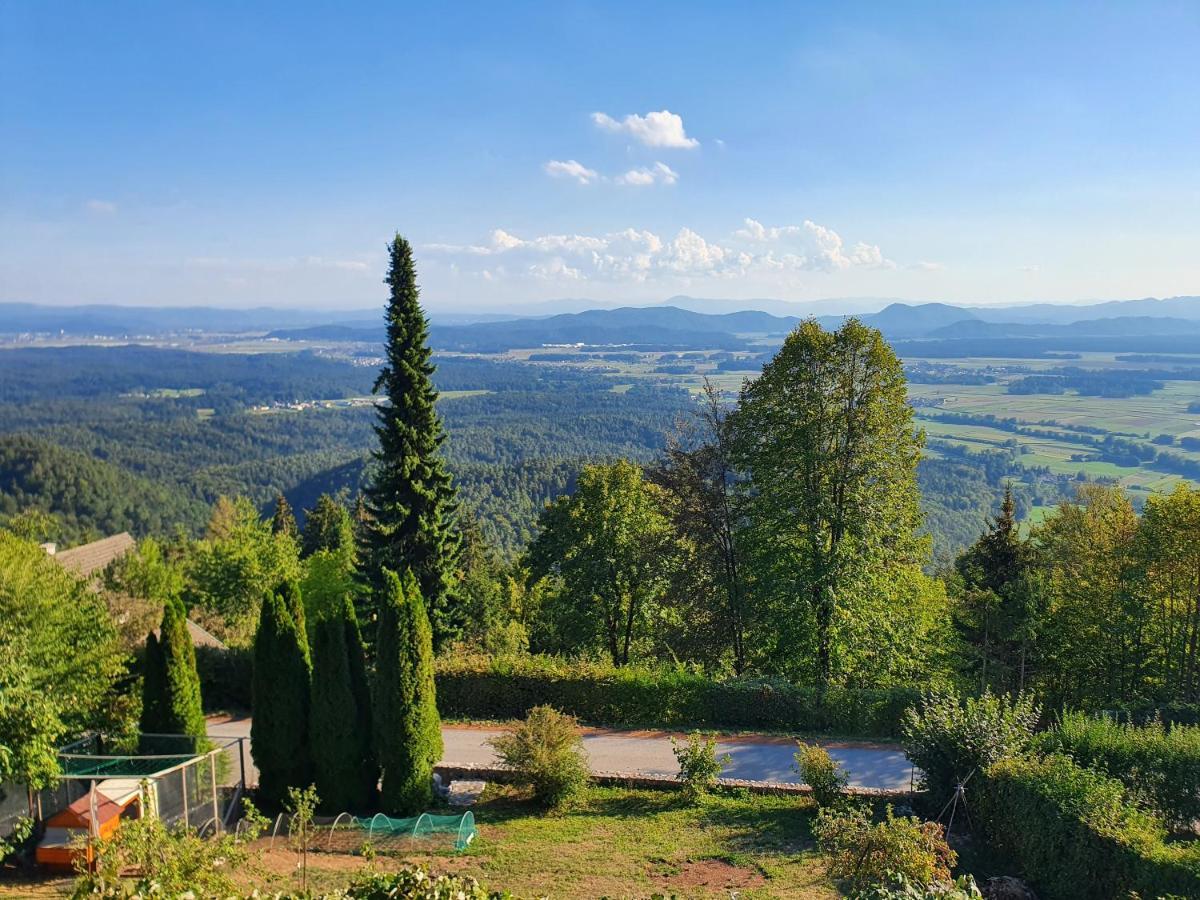 Veronica's Place In The Mountains *